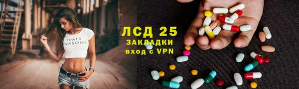 шишки Заводоуковск