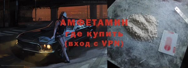 шишки Заволжье