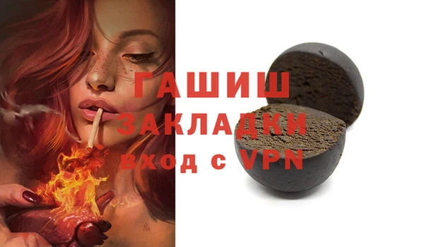 шишки Заволжье