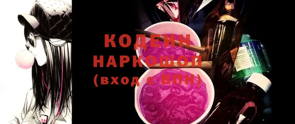 шишки Заволжье