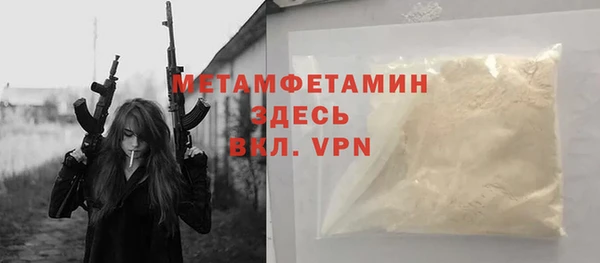 шишки Заволжье