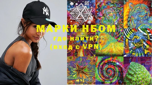 шишки Заводоуковск