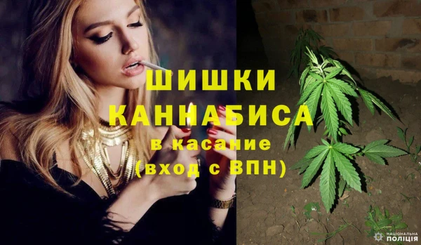 шишки Заводоуковск