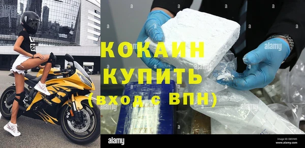 шишки Заволжье