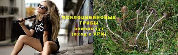 шишки Заволжье