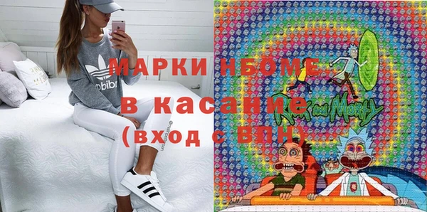 шишки Заводоуковск