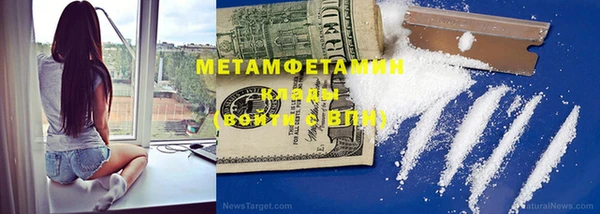 шишки Заволжье