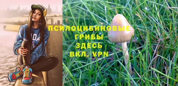 шишки Заводоуковск