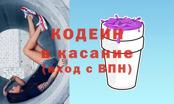 шишки Заволжье