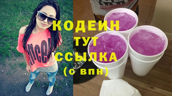 шишки Заводоуковск